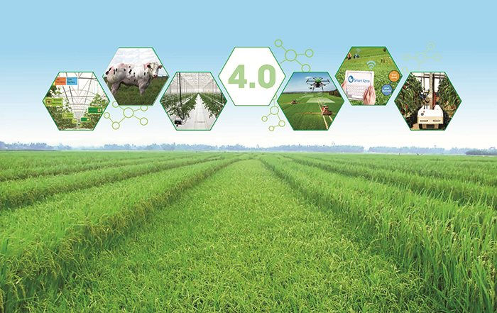 Forum sur la transformation numérique dans le secteur agricole du Vietnam 2021